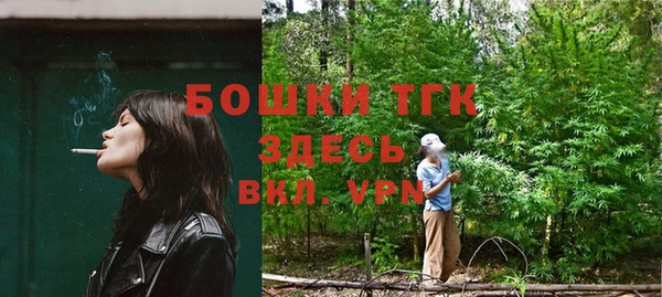 индика Магас
