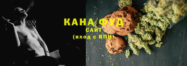индика Магас