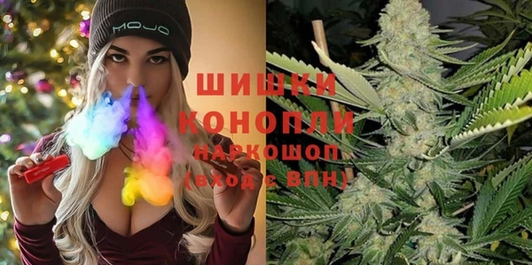 стафф Майский