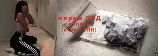 индика Магас