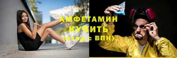 гидра Лихославль