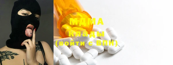 индика Магас