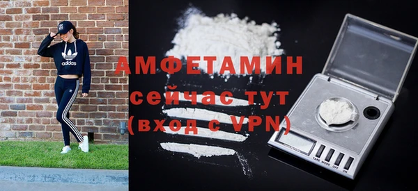 индика Магас