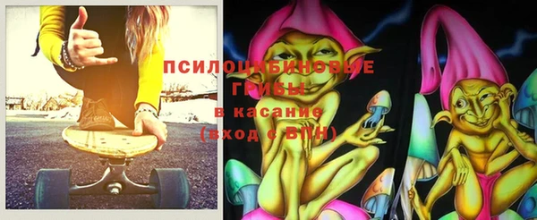 индика Магас