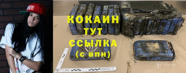 индика Магас
