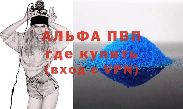 индика Магас