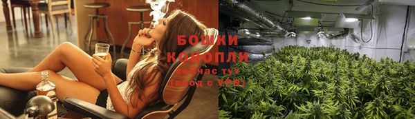 стафф Майский