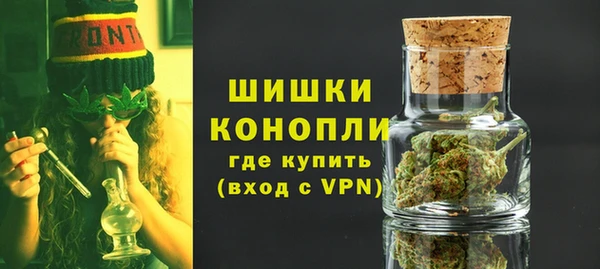 стафф Майский