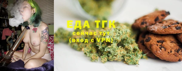 индика Магас
