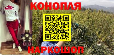 шишки Краснознаменск
