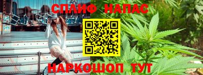 шишки Краснознаменск