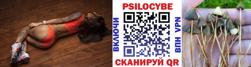 Галлюциногенные грибы мицелий  мега ONION  Новотроицк 