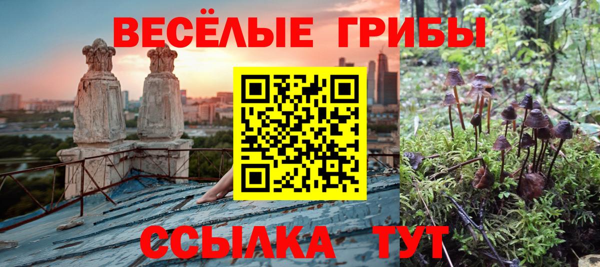 Новотроицк  Галлюциногенные грибы Magic Shrooms  Вход с VPN 