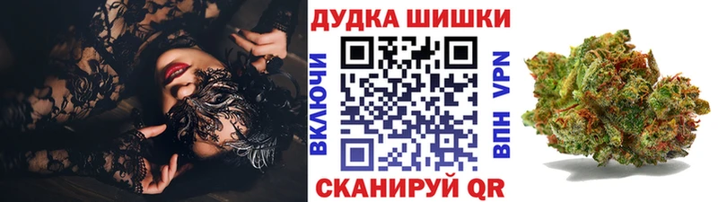 Марихуана планчик  где найти   Новотроицк 